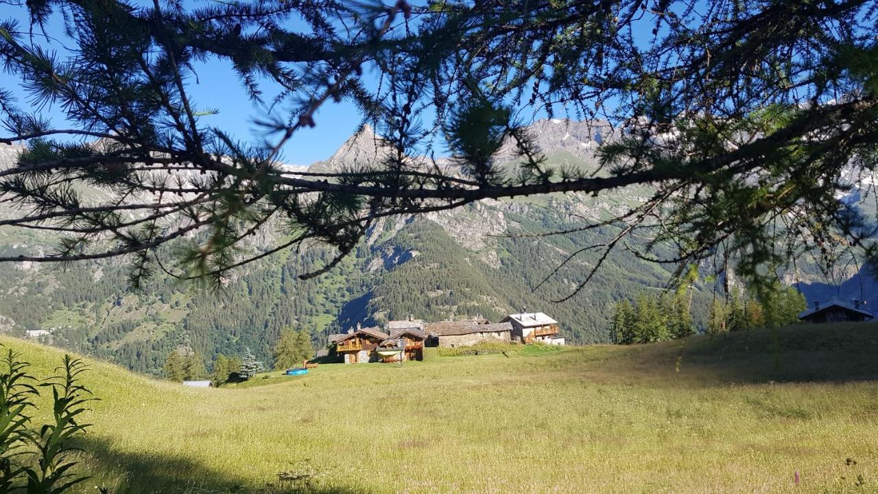 ואלטורננקה Chalet Le Lis מראה חיצוני תמונה